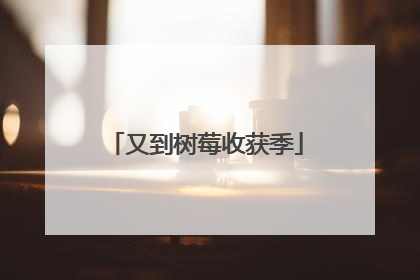 又到树莓收获季