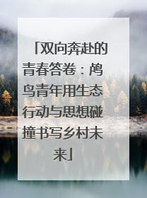 双向奔赴的青春答卷：鸬鸟青年用生态行动与思想碰撞书写乡村未来