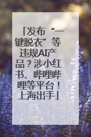 发布“一键脱衣”等违规AI产品？涉小红书、哔哩哔哩等平台！上海出手