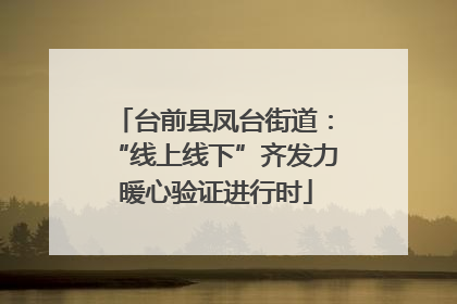 台前县凤台街道：“线上线下”齐发力 暖心验证进行时