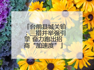 台前县城关镇：三措并举强引擎 奋力跑出招商“加速度”