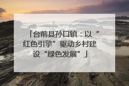 台前县孙口镇：以“红色引擎”驱动乡村建设“绿色发展”