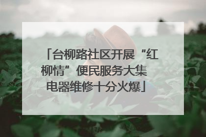 台柳路社区开展“红柳情”便民服务大集 电器维修十分火爆