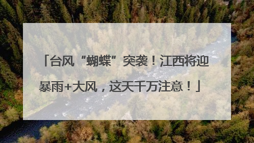 台风“蝴蝶”突袭！江西将迎暴雨+大风，这天千万注意！