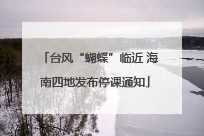 台风“蝴蝶”临近 海南四地发布停课通知