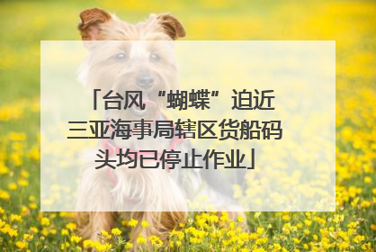 台风“蝴蝶”迫近 三亚海事局辖区货船码头均已停止作业