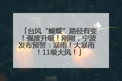 台风“蝴蝶”路径有变！强度升级！刚刚，宁波发布预警：暴雨！大暴雨！11级大风！