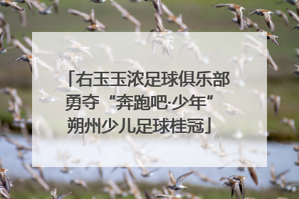 右玉玉浓足球俱乐部勇夺“奔跑吧·少年”朔州少儿足球桂冠