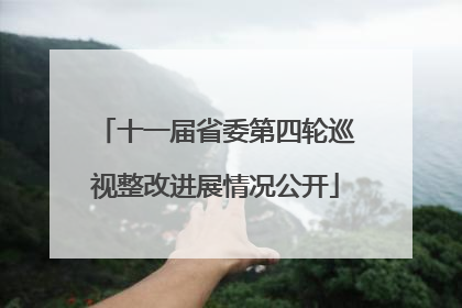 十一届省委第四轮巡视整改进展情况公开