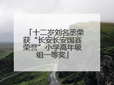 十二岁刘名丞荣获“长安长安国赛荣誉”小学高年级组一等奖