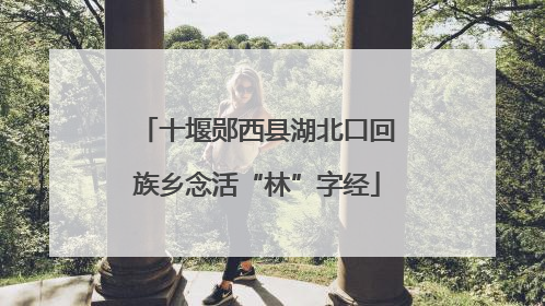 十堰郧西县湖北口回族乡念活“林”字经