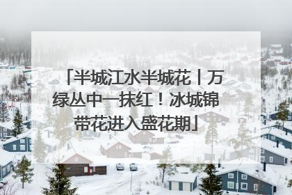 半城江水半城花丨万绿丛中一抹红！冰城锦带花进入盛花期