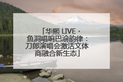 华熙 LIVE・鱼洞唱响巴渝韵律：刀郎演唱会激活文体商融合新生态
