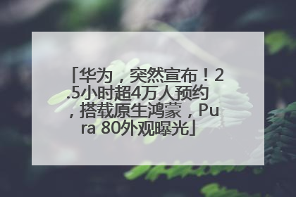 华为，突然宣布！2.5小时超4万人预约，搭载原生鸿蒙，Pura 80外观曝光