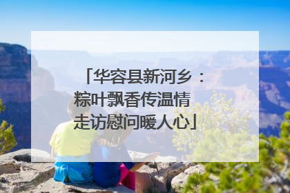 华容县新河乡：粽叶飘香传温情 走访慰问暖人心
