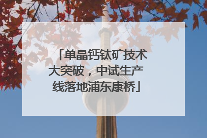 单晶钙钛矿技术大突破，中试生产线落地浦东康桥