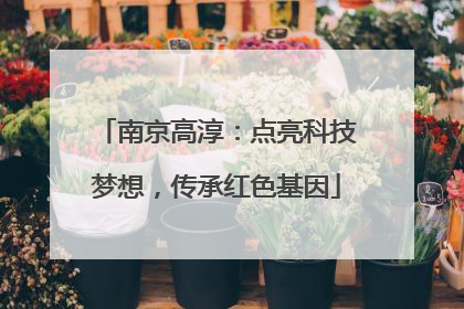 南京高淳：点亮科技梦想，传承红色基因
