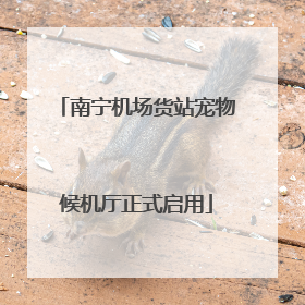 南宁机场货站宠物候机厅正式启用