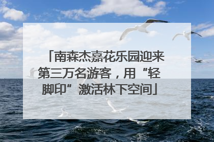 南森杰嘉花乐园迎来第三万名游客，用“轻脚印”激活林下空间
