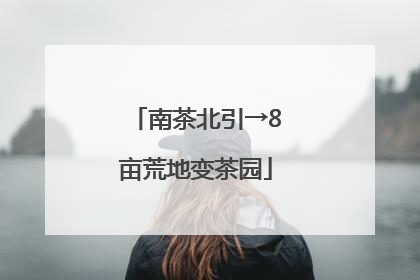 南茶北引→8亩荒地变茶园
