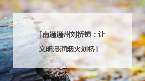 南通通州刘桥镇：让文明浸润烟火刘桥
