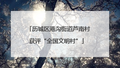 历城区港沟街道芦南村获评“全国文明村”