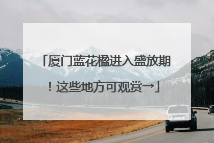 厦门蓝花楹进入盛放期！这些地方可观赏→