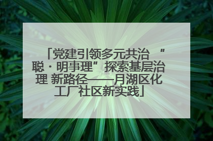 党建引领多元共治 “聪・明事理”探索基层治理 新路径——月湖区化工厂社区新实践