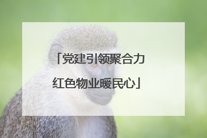 党建引领聚合力 红色物业暖民心