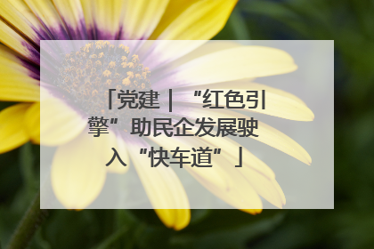 党建｜“红色引擎”助民企发展驶入“快车道”