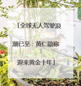 全球无人驾驶浪潮已至：黄仁勋称迎来黄金十年