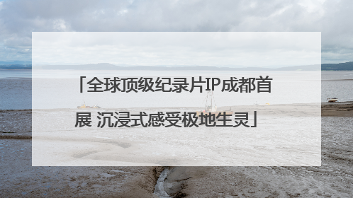 全球顶级纪录片IP成都首展 沉浸式感受极地生灵