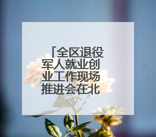 全区退役军人就业创业工作现场推进会在北海市召开