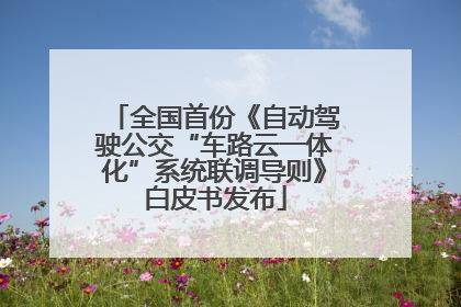 全国首份《自动驾驶公交“车路云一体化”系统联调导则》白皮书发布