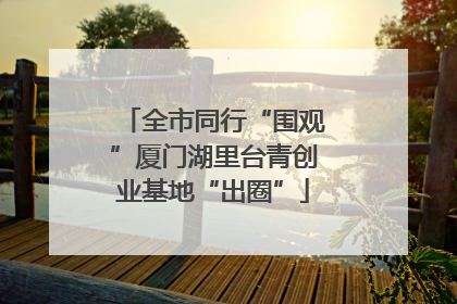 全市同行“围观”厦门湖里台青创业基地“出圈”