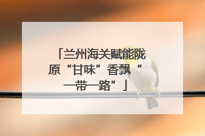 兰州海关赋能陇原“甘味”香飘“一带一路”