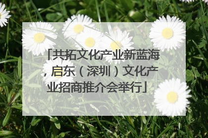 共拓文化产业新蓝海，启东（深圳）文化产业招商推介会举行