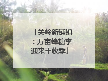 关岭新铺镇：万亩蜂糖李迎来丰收季