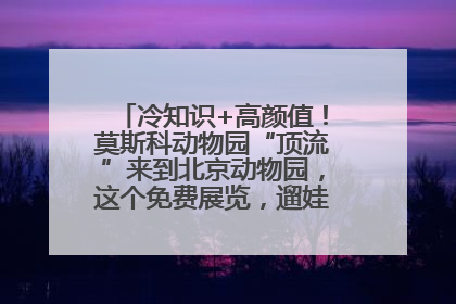 冷知识+高颜值！莫斯科动物园“顶流”来到北京动物园，这个免费展览，遛娃拍照两不误！