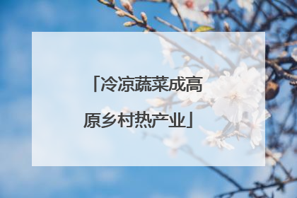 冷凉蔬菜成高原乡村热产业