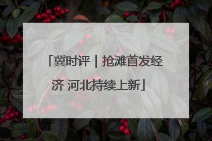 冀时评｜抢滩首发经济 河北持续上新