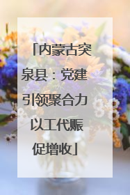 内蒙古突泉县：党建引领聚合力 以工代赈促增收