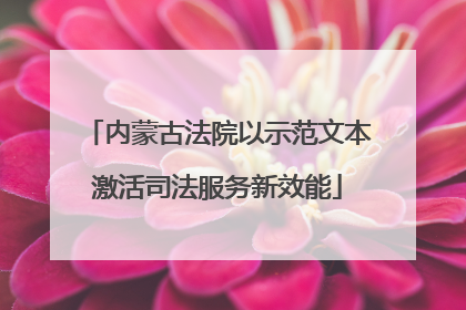 内蒙古法院以示范文本激活司法服务新效能