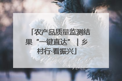 农产品质量监测结果“一键直达”｜乡村行·看振兴