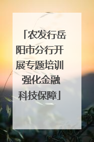 农发行岳阳市分行开展专题培训 强化金融科技保障