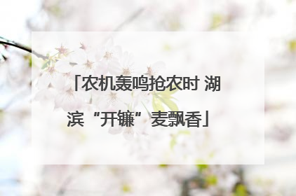 农机轰鸣抢农时 湖滨“开镰”麦飘香