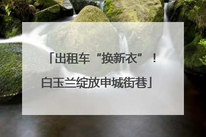 出租车“换新衣”！白玉兰绽放申城街巷