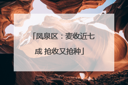 凤泉区：麦收近七成 抢收又抢种