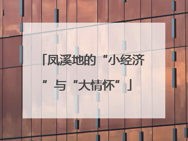 凤溪地的“小经济”与“大情怀”