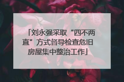刘永强采取“四不两直”方式督导检查危旧房屋集中整治工作